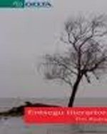 Entsegu literarioraren bidean