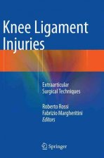 Knee Ligament Injuries