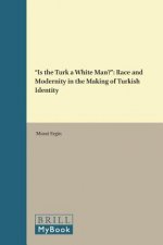 Is the Turk a White Man?: Race and Modernity in the Making of Turkish Identity