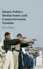 Islamic Politics, Muslim States, and Counterterrorism Tensions