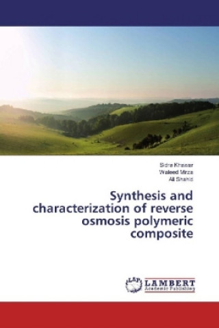 Synthesis and characterization of reverse osmosis polymeric composite