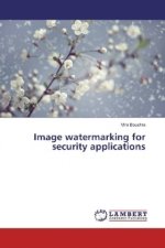 Image watermarking for security applications