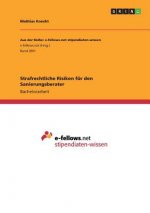 Strafrechtliche Risiken für den Sanierungsberater
