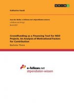 Crowdfunding as a Financing Tool for NGO Projects. An Analysis of Motivational Factors for Contribution