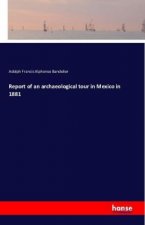 Report of an archaeological tour in Mexico in 1881