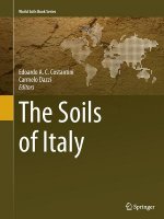 Soils of Italy
