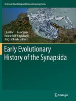 Early Evolutionary History of the Synapsida