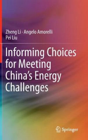 Informing Choices for Meeting China's Energy Challenges