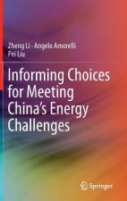Informing Choices for Meeting China's Energy Challenges