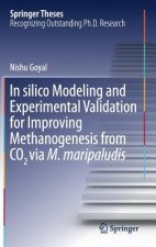 In silico Modeling and Experimental Validation for Improving Methanogenesis from CO2 via M. maripaludis