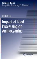 Impact of Food Processing on Anthocyanins