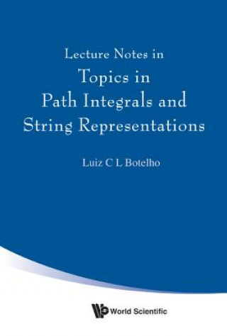 Lecture Notes In Topics In Path Integrals And String Representations