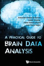 Practical Guide To Brain Data Analysis, A