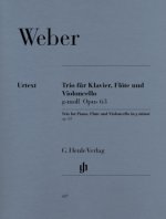 Klaviertrio g-Moll op.63, Klavier, Flöte und Violoncello