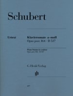 Klaviersonate a-Moll op. post. 164 D 537