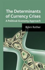Determinants of Currency Crises
