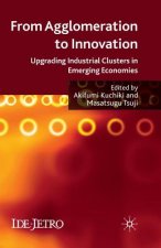 From Agglomeration to Innovation