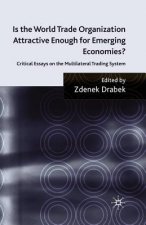 Is the World Trade Organization Attractive Enough for Emerging Economies?