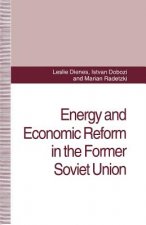 Energy and Economic Reform in the Former Soviet Union