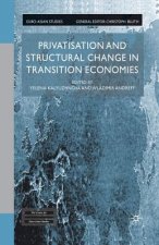 Privatisation and Structural Change in Transition Economies