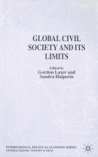 Global Civil Society and Its Limits