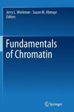 Fundamentals of Chromatin