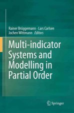 Multi-indicator Systems and Modelling in Partial Order