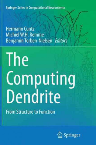 Computing Dendrite