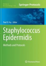 Staphylococcus Epidermidis