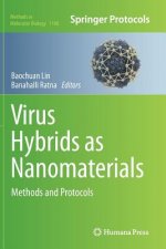 Virus Hybrids as Nanomaterials