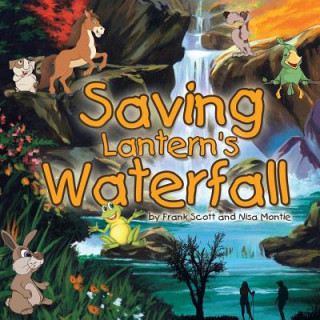 Saving Lantern's Waterfall