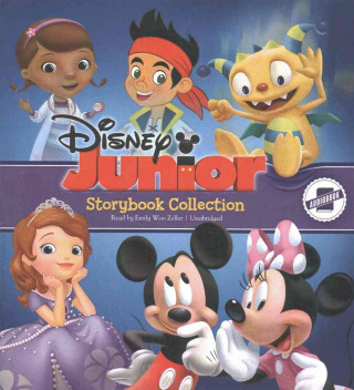 Disney Junior Storybook Collection: Sofia the First, Doc Mstuffins, Jake and the Neverland Pirates, Mickey/Minnie, Henry Hugglemonster