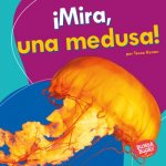?Mira, Una Medusa! (Look, a Jellyfish!)