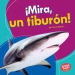 ?Mira, Un Tiburón! (Look, a Shark!)