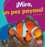 ?Mira, Un Pez Payaso! (Look, a Clown Fish!)