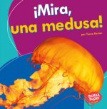 ?Mira, Una Medusa! (Look, a Jellyfish!)