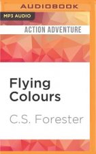 Flying Colours