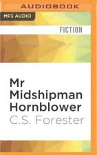 MR Midshipman Hornblower