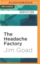 The Headache Factory: True Tales of Online Obsession and Madness