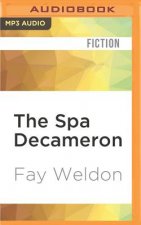 The Spa Decameron