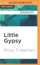 Little Gypsy: A Life of Freedom, a Time of Secrets