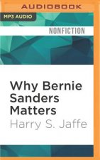 Why Bernie Sanders Matters