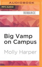 Big Vamp on Campus