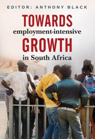 Towards employment-intensive growth in South Africa