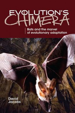 Evolution's Chimera: Bats and the Marvel of Evolutionary Adaptation