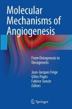 Molecular Mechanisms of Angiogenesis