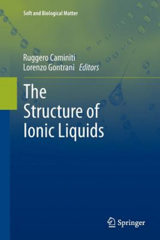 Structure of Ionic Liquids