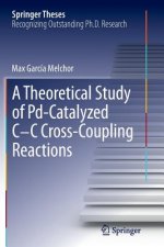 Theoretical Study of Pd-Catalyzed C-C Cross-Coupling Reactions