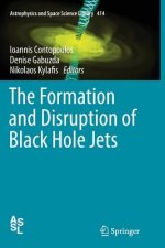 Formation and Disruption of Black Hole Jets