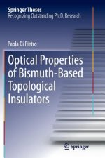 Optical Properties of Bismuth-Based Topological Insulators